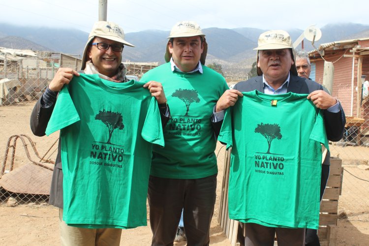 A través de innovador proyecto buscan reforestar sectores de La Higuera donde se alimenta ganado caprino