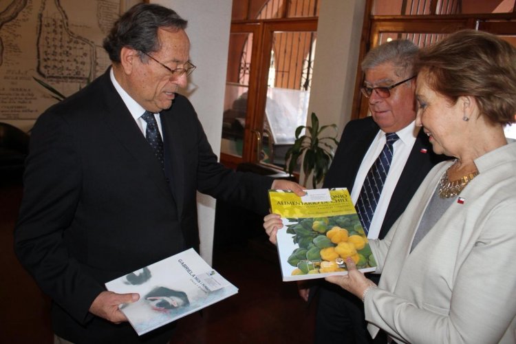 Comisión del CORE coordina reunión con ministra de Transporte Gloria Hutt