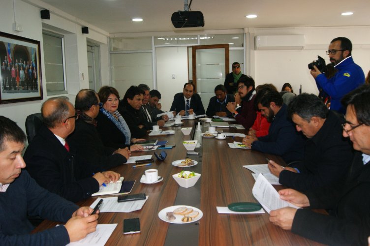 CORE y Ejecutivo gestionarán recursos FNDR para darle continuidad al programa Pro-empleo