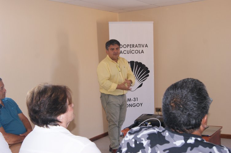 Auditores internacionales de Escocia y Argentina certifican estándares de calidad de la industria ostionera regional