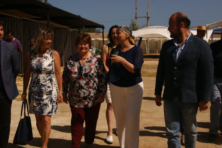 Más de 200 emprendedores participarán en la Expo Coquimbo 2020