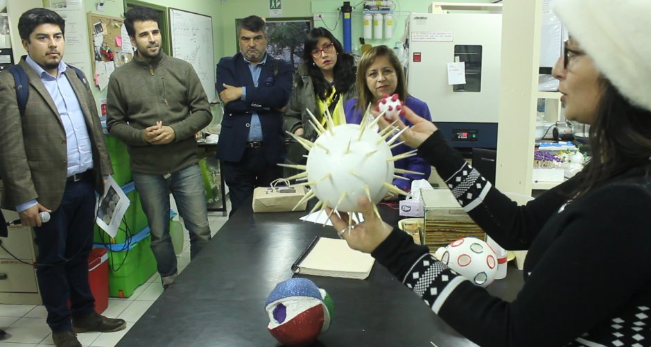 CORE aprueba 2 mil millones para incrementar el desarrollo de investigación científica y tecnológica en la región