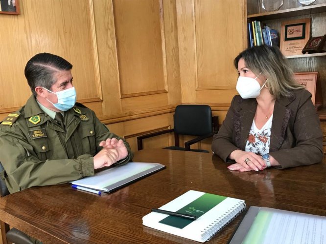 Carabineros y PDI plantean sus prioridades para iniciar trabajo con consejeros regionales