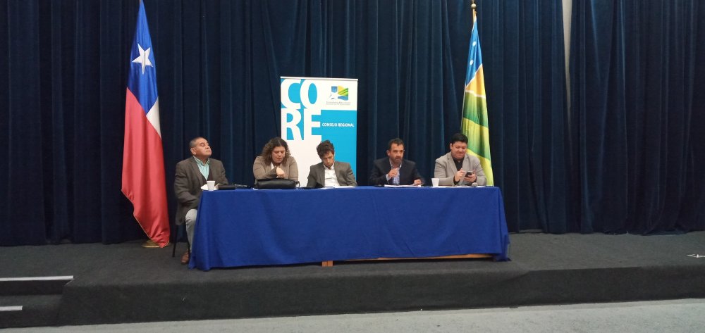 Consejeros regionales no se pronunciarán sobre el destino de los terrenos de San Ramón hasta que se resuelva la causa judicial