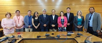 Comisiones de Relaciones Internacionales: CORE de Coquimbo y Antofagasta suman esfuerzos territoriales y acuerdan trabajo colaborativo entre regiones