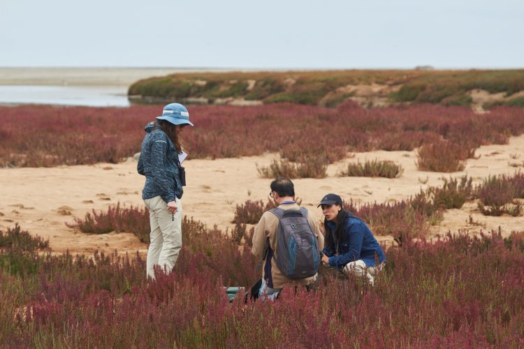Ceaza presenta ante el Consejo Regional proyecto que busca salvaguardar los humedales costeros