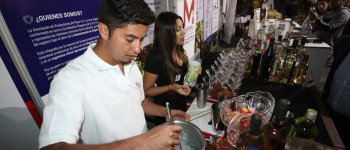 Consejo Regional trabaja en preparativos para la Expo Coquimbo 2025