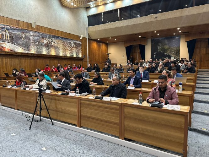 Consejo Regional aprueba recursos por $3.078 millones para poner en marcha programa electromovilidad 