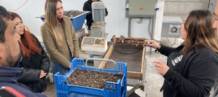 Coquimbo impulsa innovador proyecto biotecnológico basado en larvas de mosca soldado negro