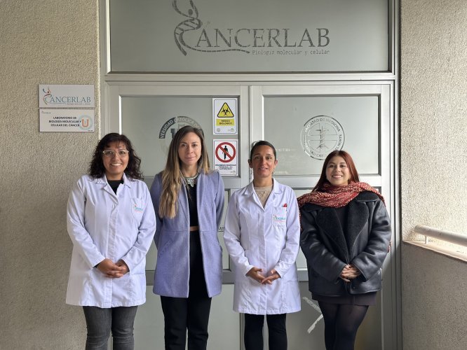 Laboratorio CancerLab de la UCN investiga potencial de ácidos grasos provenientes de desechos marinos para elaborar nutracéutico contra el cáncer