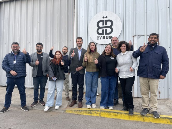 Coquimbo impulsa innovador proyecto biotecnológico basado en larvas de mosca soldado negro