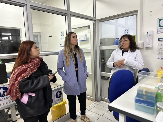 Laboratorio CancerLab de la UCN investiga potencial de ácidos grasos provenientes de desechos marinos para elaborar nutracéutico contra el cáncer