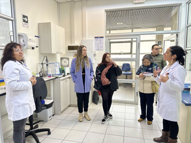 Laboratorio CancerLab de la UCN investiga potencial de ácidos grasos provenientes de desechos marinos para elaborar nutracéutico contra el cáncer