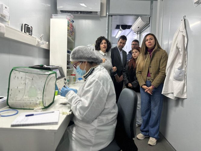Coquimbo impulsa innovador proyecto biotecnológico basado en larvas de mosca soldado negro