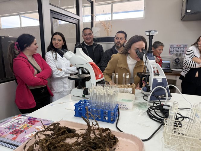 Consejeros regionales conocen innovador proyecto de la Univerdidad de La Serena que busca transformar el control de plagas en la agricultura regional