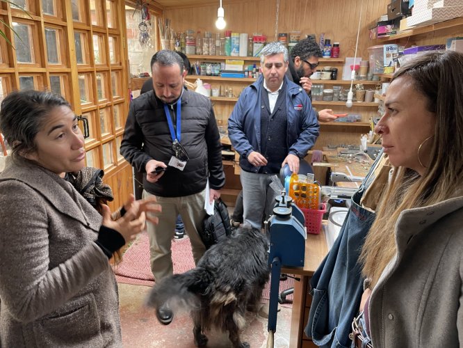 Artesana vileña fortalece su negocio con apoyo del Gobierno Regional y Sercotec