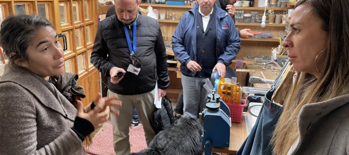 Artesana vileña fortalece su negocio con apoyo del Gobierno Regional y Sercotec