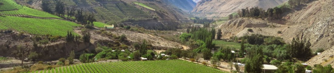 Valle del Elqui