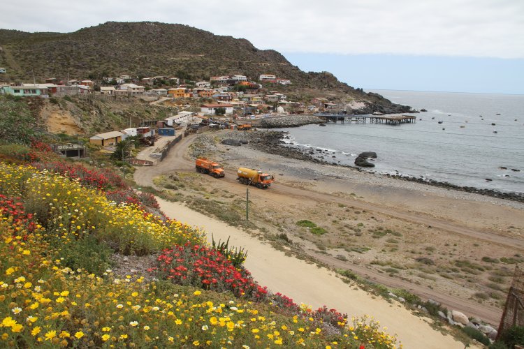 CORE aprueba nueva Política Ambiental Regional CORE aprueba nueva Política Ambiental Regional