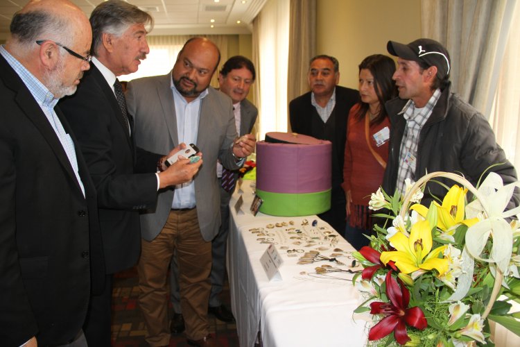 Emprendedores locales recibieron $400 millones gracias a programa del FOSIS y Gobierno Regional Emprendedores locales recibieron $400 millones gracias a programa del FOSIS y Gobierno Regional