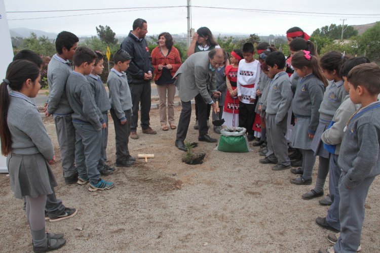 Vecinos de Huachalalume cuentan con plaza educativa sobre el cambio climático