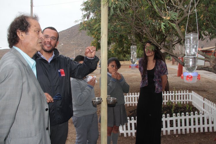 Vecinos de Huachalalume cuentan con plaza educativa sobre el cambio climático