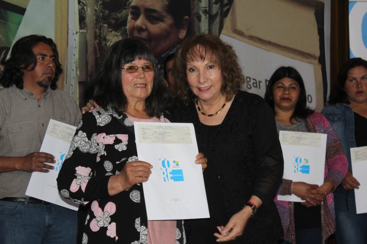 117 ganadores de Limarí se adjudicaron fondos concursables del Gobierno Regional