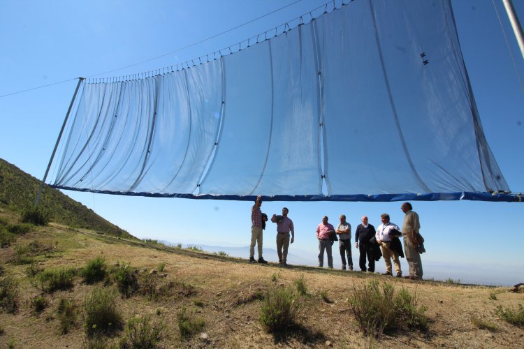 Comunidades rurales enfrentan la sequía con exitosa experiencia de atrapanieblas