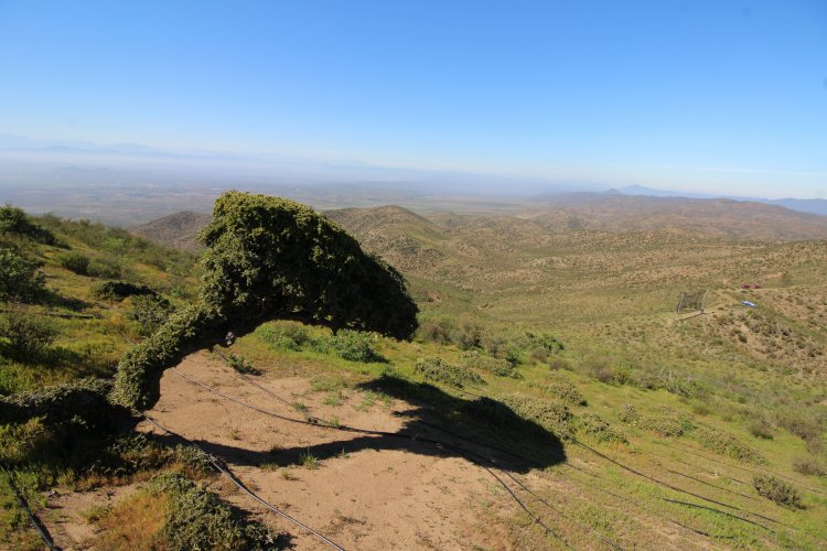 Comunidades rurales enfrentan la sequía con exitosa experiencia de atrapanieblas Comunidades rurales enfrentan la sequía con exitosa experiencia de atrapanieblas