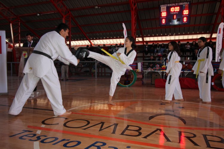 Consejo Regional de Coquimbo convoca a la conformación del Consejo Consultivo de Deporte Regional
