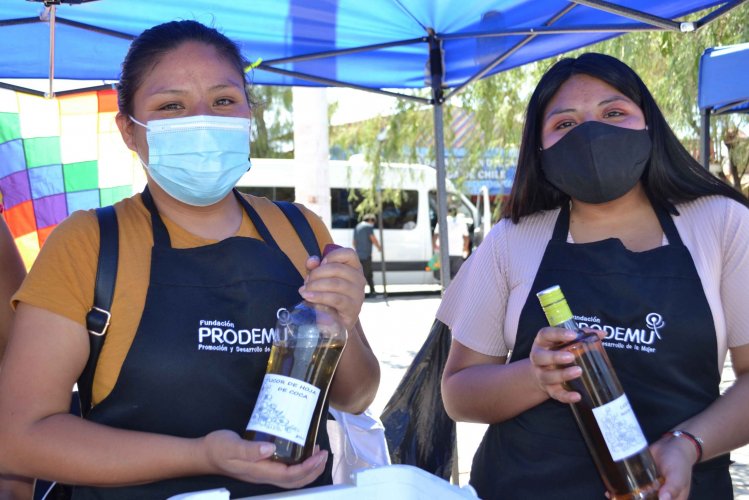 Fundación PRODEMU adapta programas de capacitación digital para mujeres en el marco de la pandemia