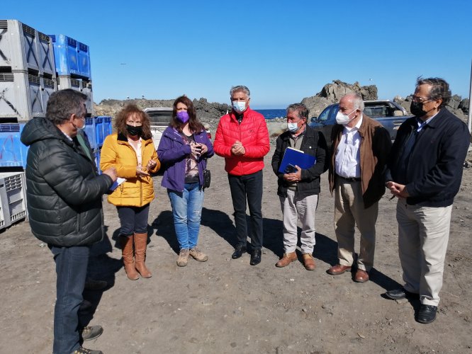 Consejeros regionales visitan caletas pesqueras de la provincia de Limarí y recogen inquietudes de pescadores
