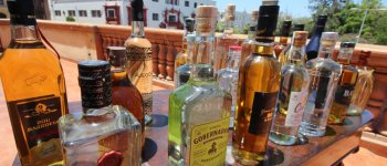 Región de Atacama compartirá su experiencia en programa para la difusión y la promoción del Pisco