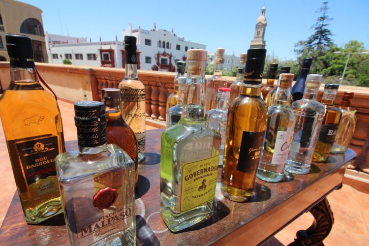 Región de Atacama compartirá su experiencia en programa para la difusión y la promoción del Pisco