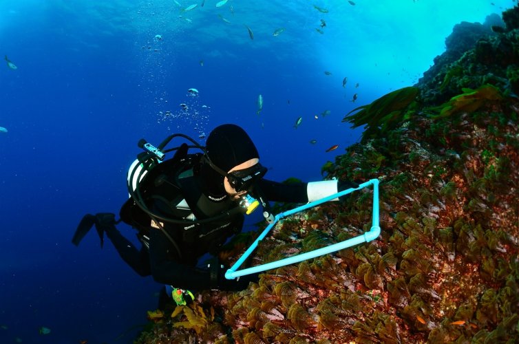 Científicos investigarán cualidades oceanográficas locales para la instalación de plantas desalinizadoras