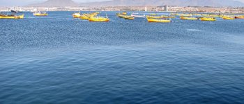 CEAZA busca definir lugares idóneos de menor impacto a la biodiversidad marina para la instalación de plantas desaladoras en la bahía de Coquimbo