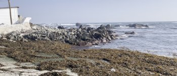 Rubén Rojo, Director Centro Científico Tecnológico de la Región de Antofagasta “Mirar el mar no implica que si nos consumimos toda el agua de la cuenca vayamos a depredar el borde costero”