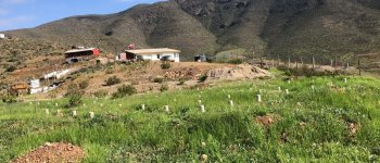 A pasos de concretarse proyecto de construcción de la Red Eléctrica del sector Cajón del Romero en La Serena