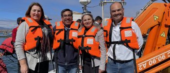 Liberación de corvinas en la playa de Tongoy: Innovador proyecto busca repoblar la especie marina