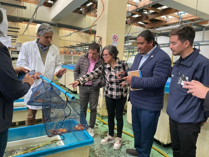 Consejeros regionales de Antofagasta se nutren de la experiencia local en el ámbito de la pesca y la acuicultura sustentable