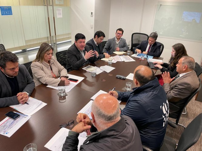 Consejeros Regionales se reúnen con el Subsecretario de Energía para apresurar los proyectos de electrificación en zonas rurales