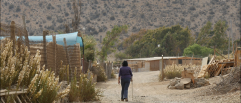 Tras una década de espera, el Consejo Regional aprueba estrategia para la implementación de la Política Regional de Desarrollo Rural