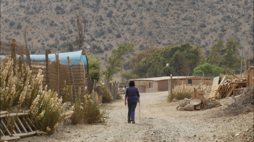 Tras una década de espera, el Consejo Regional aprueba estrategia para la implementación de la Política Regional de Desarrollo Rural