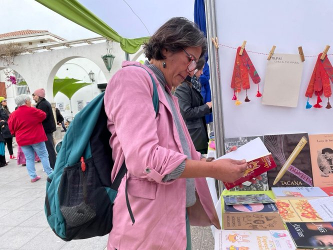 En La Serena es inaugurada la cuarta Feria Feminista del Libro