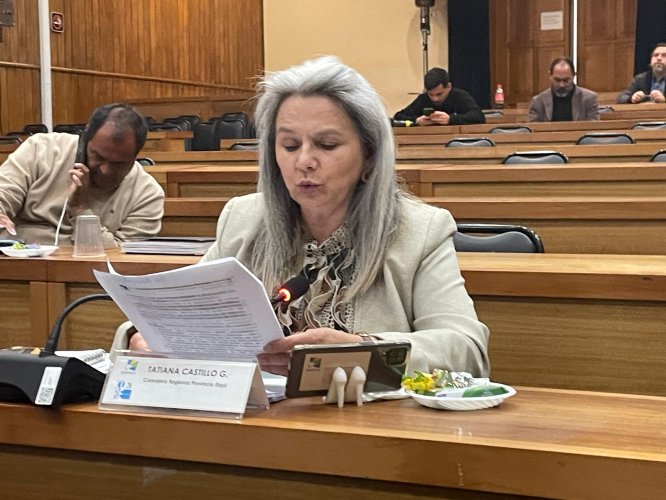 Consejo Regional aprueba proyecto para generar empresas sustentables Consejo Regional aprueba proyecto para generar empresas sustentables