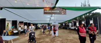 Consejo Regional aprueba voluntad política de apoyar con $100 millones la ejecución de la Expo Coquimbo 2024