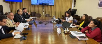 Consejeros acuden a diputados de la comisión de energía y minería para apurar proyectos de electrificación rural