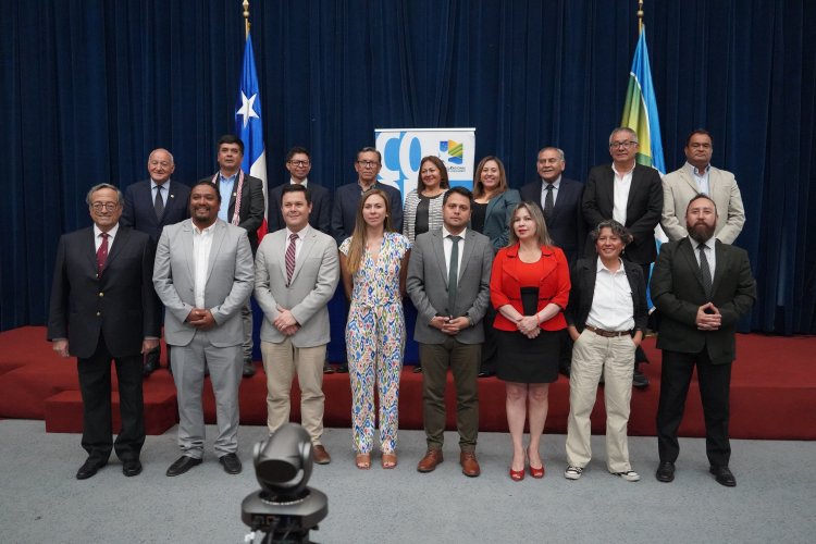 Consejo Regional aprueba la reposición de 124 camas para hospitales de seis comunas de la región Consejo Regional aprueba la reposición de 124 camas para hospitales de seis comunas de la región