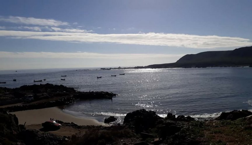 Gobierno Regional invertirá $3.600 millones en proyecto de Mejoramiento de Caleta Pesquera Río Limarí